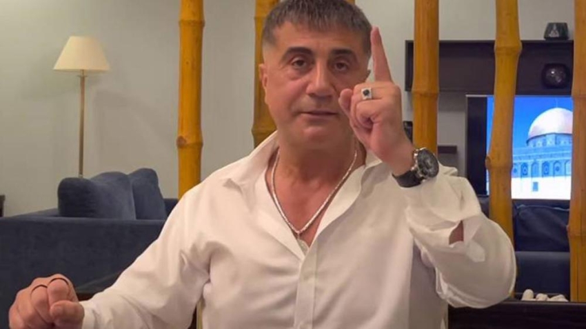 زعيم المافيا التركية