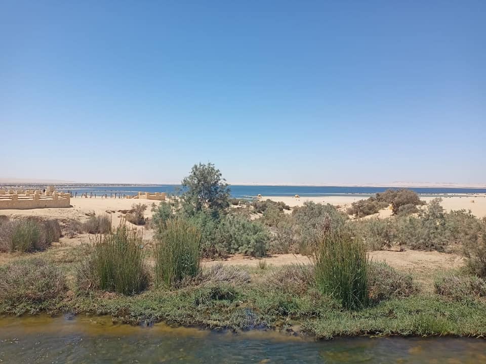وزيرة البيئة