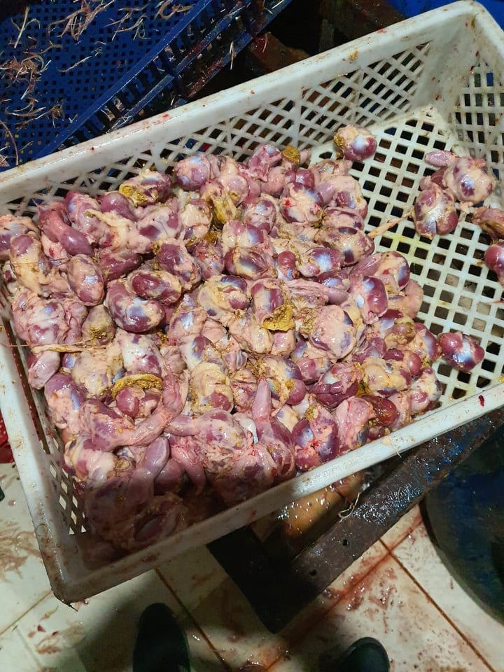 ضبط لحوم غير مطابقة بكفرالشيخ