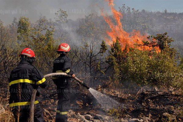 صورة للحرائق المندلعة ب 17 ولاية بالجزائر