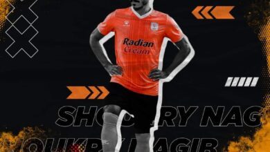 شكرى نجيب