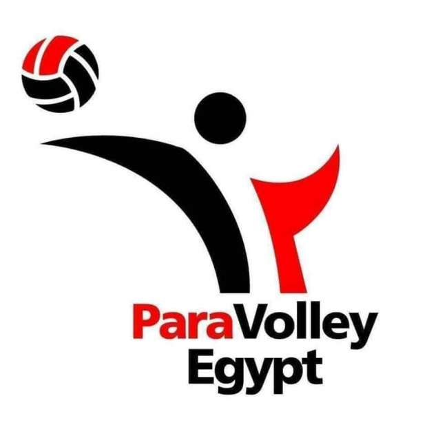 اتحاد الطائرة البارالمبي