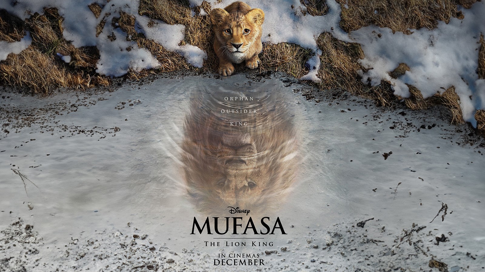 أفلام ديسمبر