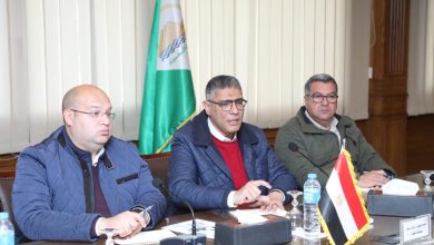 محافظ الجيزة