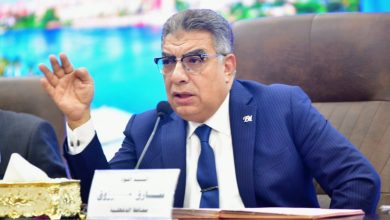 محافظ الدقهلية