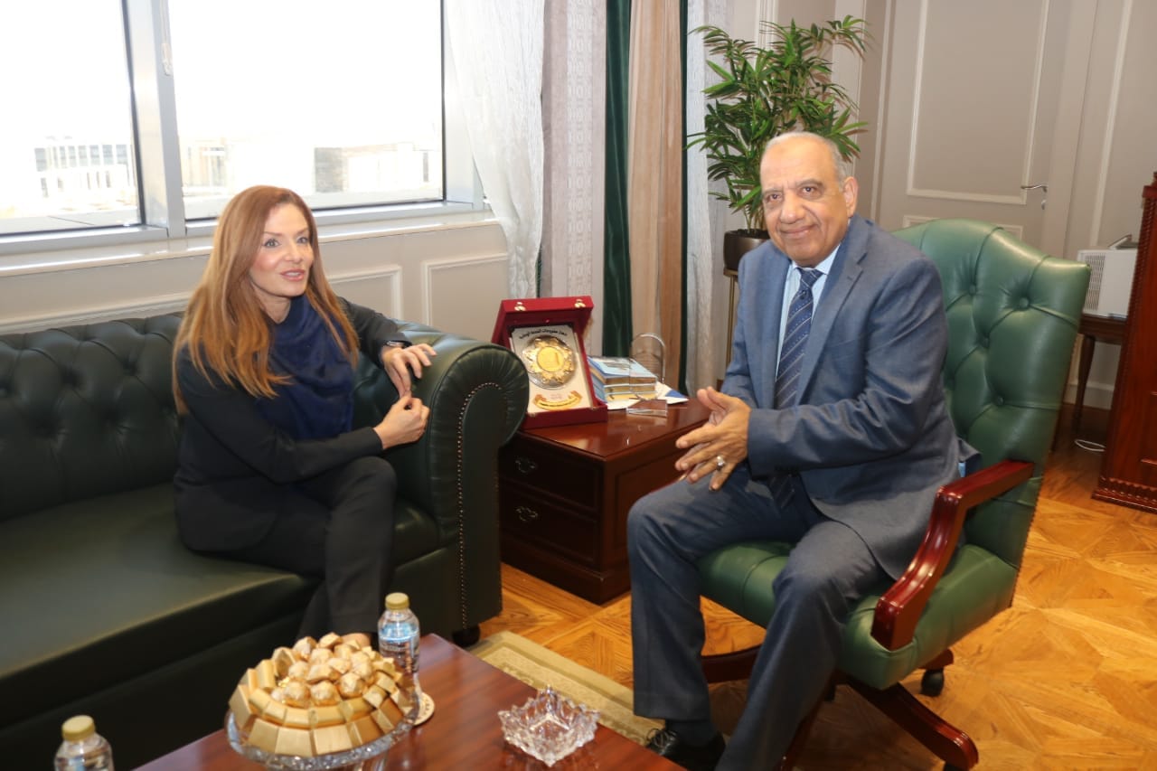 وزير الكهرباء