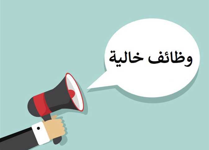 وظائف وزارة المالية