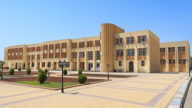 جامعة دمنهور الأهلية