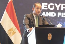 وزير المالية