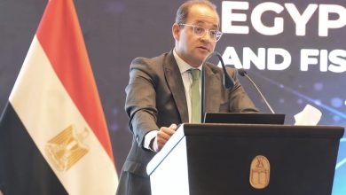 وزير المالية