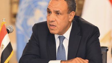 وزير الخارجية - بدر عبد العاطي