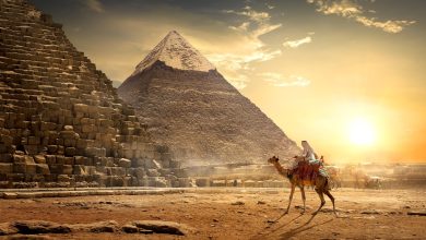 مصر