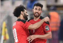 صلاح وتريزيجيه