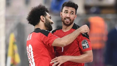 صلاح وتريزيجيه